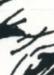 wolverine_973x3.jpg